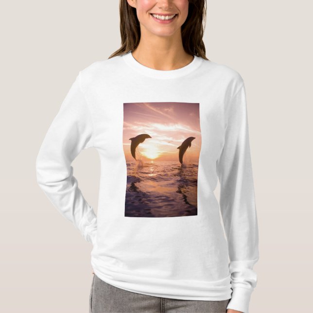 Camiseta Golfinho-nariz-de-garrafa Tursiops truncatus (Frente)