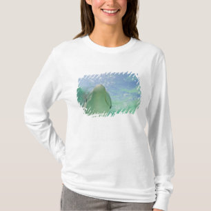 Camiseta Golfinho-nariz-de-garrafa Tursiops truncatus)