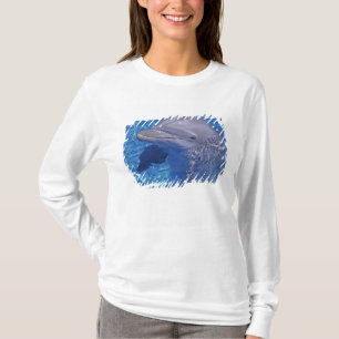 Camiseta Golfinho-roaz, Tursiops Truncatus