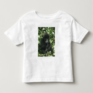 Camiseta Gorila da Montanha, (Gorilla gorilla beringei),