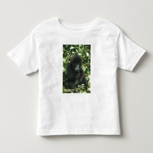 Camiseta Gorila da Montanha, (Gorilla gorilla beringei), (Frente)