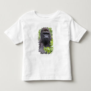 Camiseta Gorila-de-costas-silverback, Gorilla gorilla,