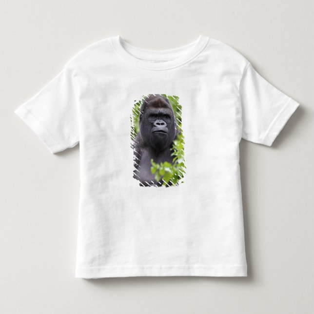 Camiseta Gorila-de-costas-silverback, Gorilla gorilla, (Frente)