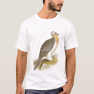 Camiseta Gould - abutre farpado - Lammergeyer