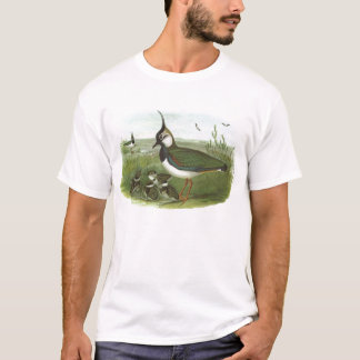 Camiseta Gould - galispo - vanellus do Vanellus