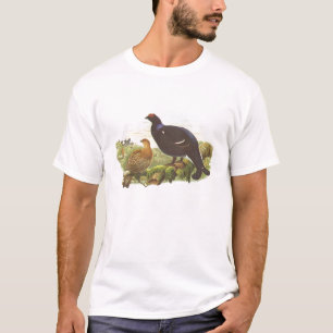 Camiseta Gould - galo silvestre preto - tetrix do Lyrurus