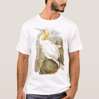 Camiseta Gould - Gannet - Sula bassana