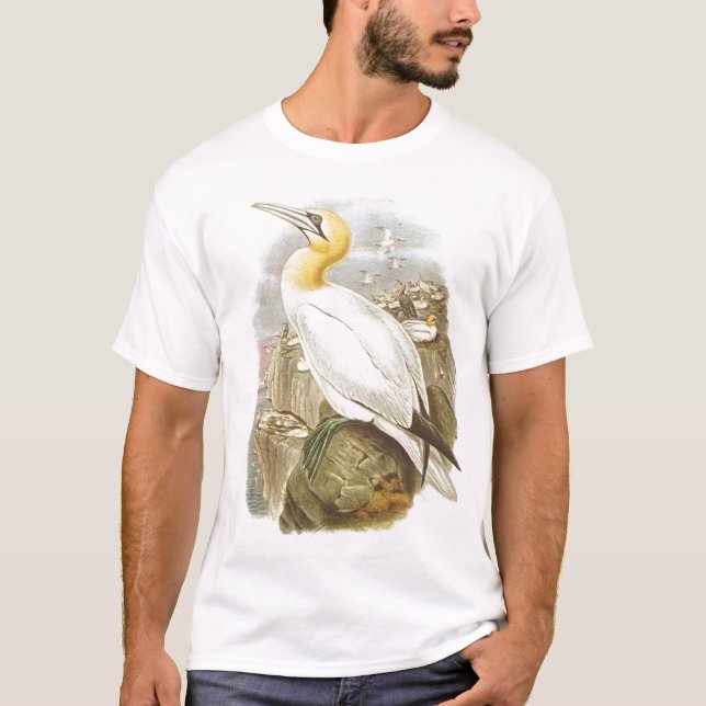 Camiseta Gould - Gannet - Sula bassana (Frente)