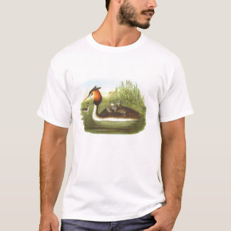 Camiseta Gould - grande Grebe com crista - cristatus do