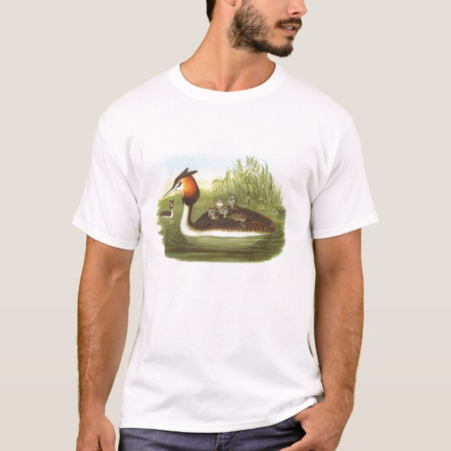 Camiseta Gould - grande Grebe com crista - cristatus do (Frente)