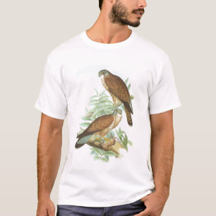 Camiseta Gould - Kestrel - tinnunculus de Falco