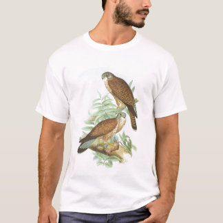 Camiseta Gould - Kestrel - tinnunculus de Falco