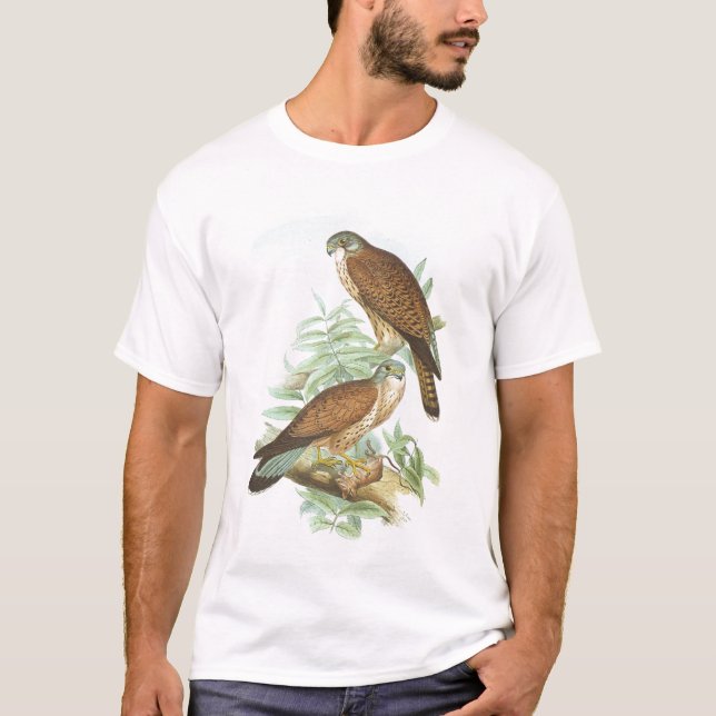 Camiseta Gould - Kestrel - tinnunculus de Falco (Frente)
