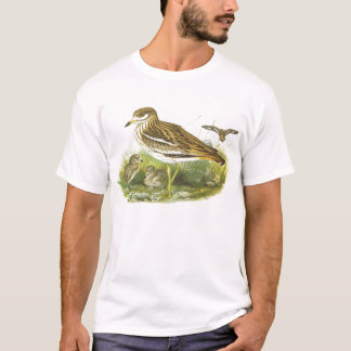 Camiseta Gould - maçarico real de pedra - oedicnemus do