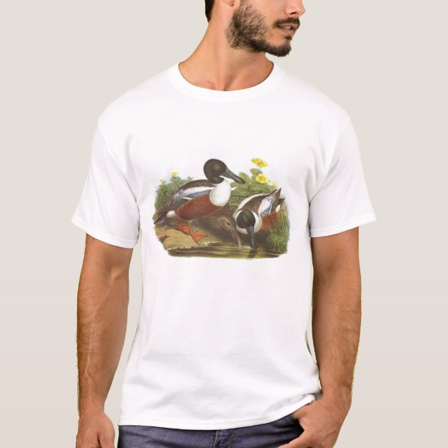 Camiseta Gould - pato-colhereiro - clypeata dos Anas (Frente)
