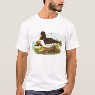 Camiseta Gould - pega-do-mar - ostralegus do Haematopus