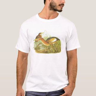 Camiseta Gould - Pequeno Bittern - Ixobrychus minutus