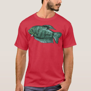 Camiseta Gourami Peixes Ornamentais Aquários Presente 5