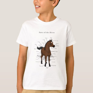 Camiseta Gráfico de Anatomia de Cavalos no Bay Foal com Est