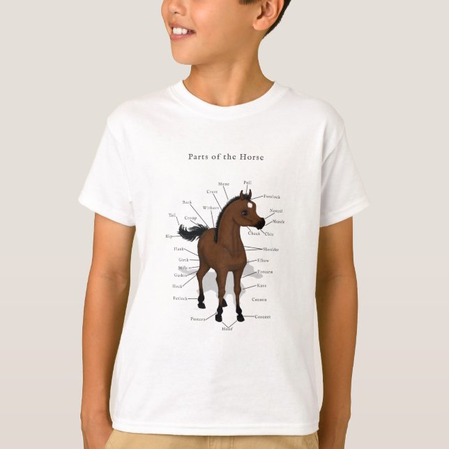Camiseta Gráfico de Anatomia de Cavalos no Bay Foal com Est (Frente)