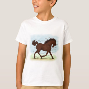 Camiseta Gráfico de Anatomia Educativa dos Equinos Marrons