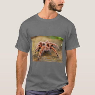 Camiseta Gráficos de Aranha Natureza