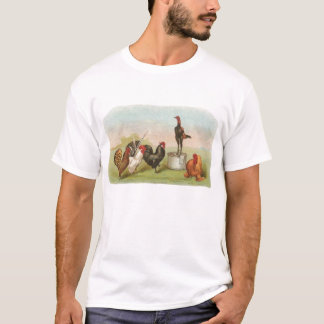 Camiseta Graham - Grupo de Galinhas