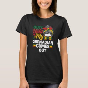 Camiseta Granada Bandeira Granadina Fofa Até o Meu Granadin