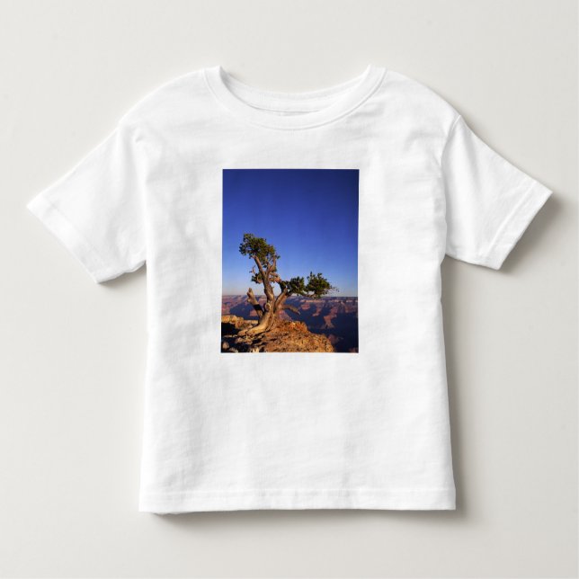 Camiseta Grand Canyon, Arizona, EUA (Frente)