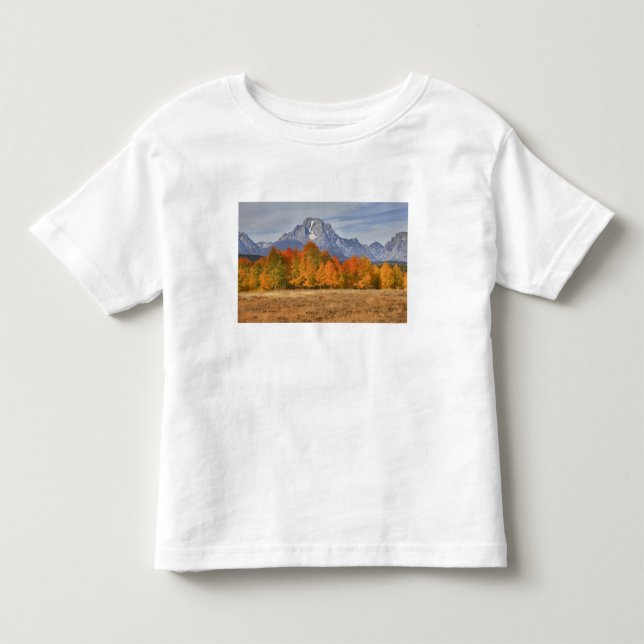 Camiseta Grand Teton NP, Monte Moran e árvores de álamo (Frente)