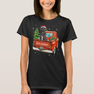 Camiseta Grande Cachorro Vermelho Caminhão Vermelho Cachorr