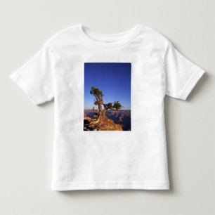 Camiseta Grande Canyon, Arizona, EUA