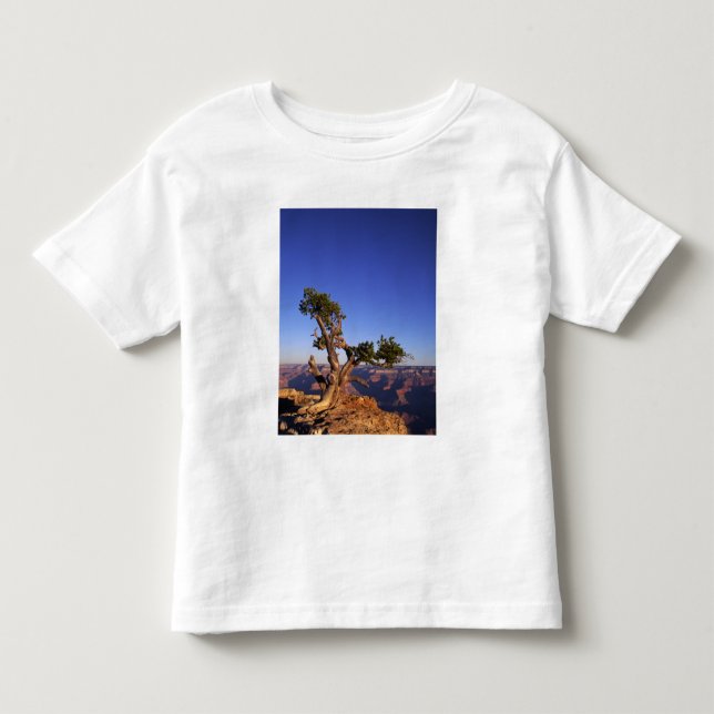 Camiseta Grande Canyon, Arizona, EUA (Frente)
