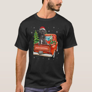 Camiseta Grande Cão Dinamarquês Anda Caminhão Vermelho Nata