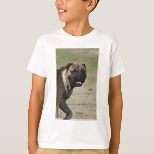 Camiseta Grande cão do Mastiff
