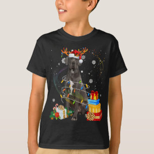 Camiseta Grande Dane Reindee Natal Luzes Engraçadas Cachorr