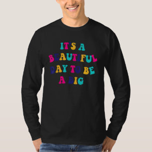 Camiseta Grande Irmandade Retro Hippy Sororidade Grande Peq