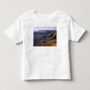 Camiseta Grande Monumento Nacional Canyon-Parashant,