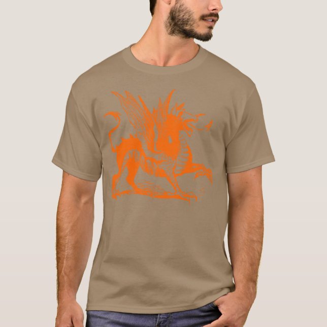 Camiseta Grave de Dragão - Laranja (Frente)