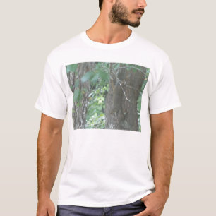 Camiseta Gravidade?