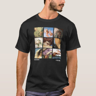 Camiseta Grelha de Pinturas Famosas de Alexandre Cabanel