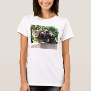 Camiseta Gremlin, gato-do-mato