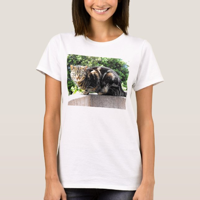 Camiseta Gremlin, gato-do-mato (Frente)