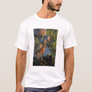 Camiseta Grua-de-areia-com filhotes, Flórida