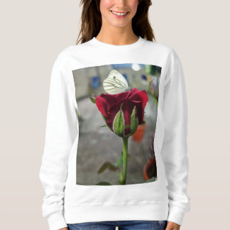 Camiseta Grupo Satyam Hoodies