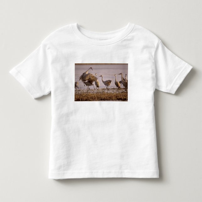 Camiseta Grus canadensis Platte (Frente)
