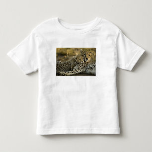 Camiseta Guepardo, Acinonyx jubatus, com filhote no Masai 2