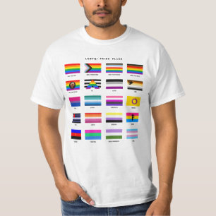 Camiseta Guia de Sinalizador de Ordenação LGBTQ+