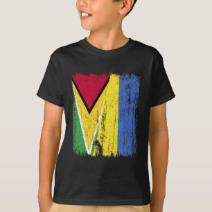 Camiseta Guiana Ucrânia Meia Bandeira Guianense Ucraniano H