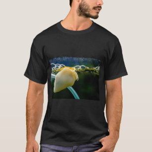 Camiseta Guppy Azul Topázio